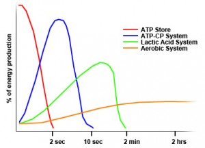 What is ATP resynthesis?